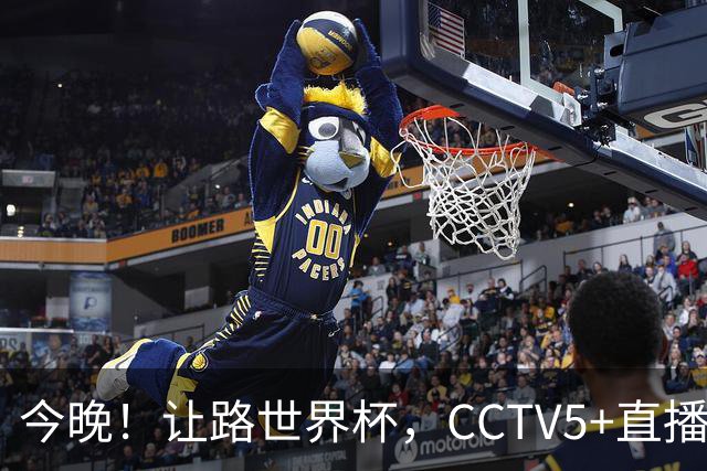 今晚！让路世界杯，CCTV5+直播中国女排VS法国，小将领衔冲击5连胜
